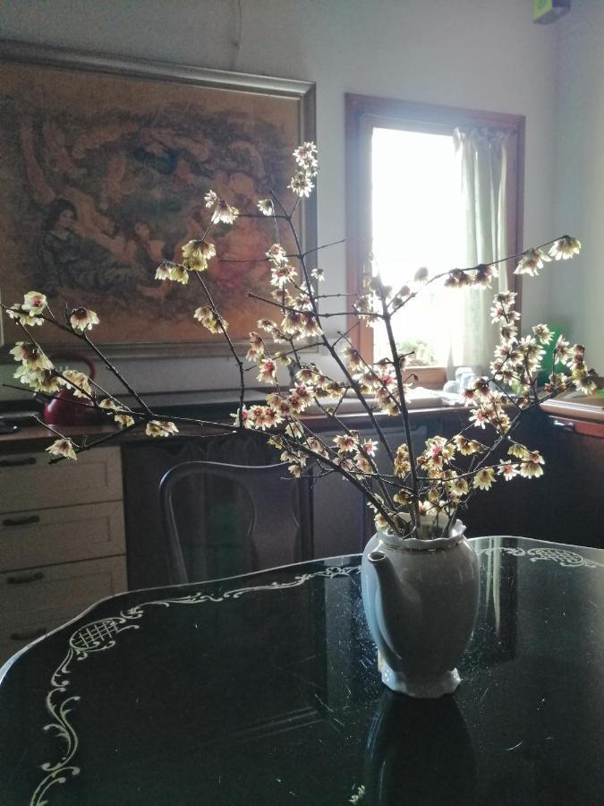 Corte Di Maggio B&B Country House Imola Exteriör bild